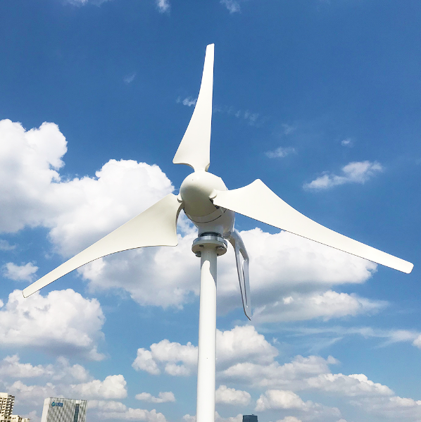 Smaraad SC 600W 800W 1000W Wind turbine Renewable Energy Generators Wind Power Small Horizontal Wind Turbine for Home Free Shipping Installation Instructions, After-sales Service